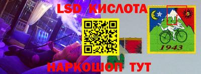 индика Пенза