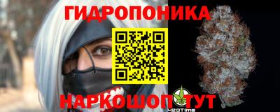 индика Пенза