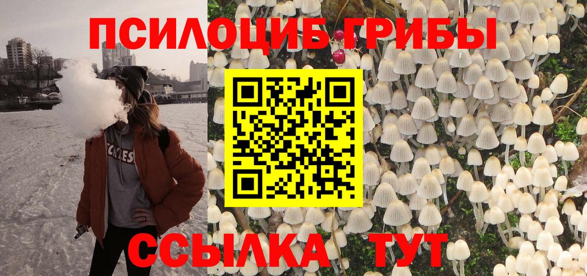 Удомля  Псилоцибиновые грибы GOLDEN TEACHER  Вход с VPN  как найти закладки  Псилоцибиновые грибы мухоморы 