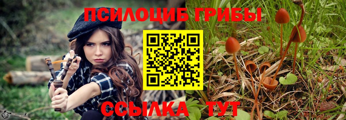 Галлюциногенные грибы мицелий Удомля